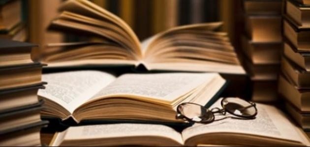 منهجية البحث
